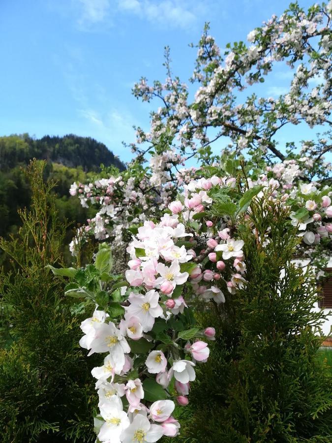 Appartementhaus Grill Strobl Exterior foto